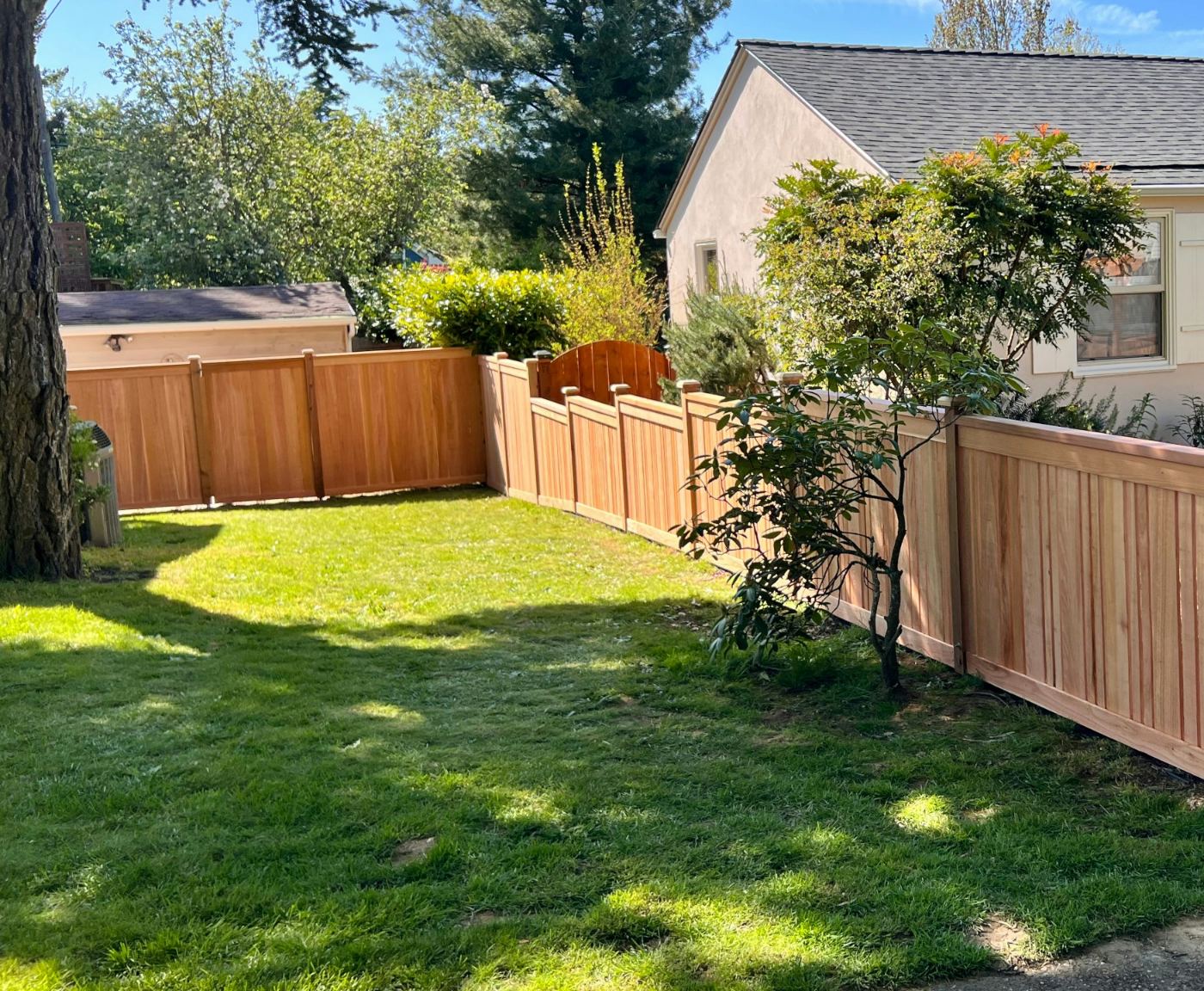 Cedar fence installed around a residential backyard with a gate and cap rail